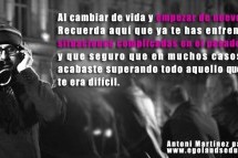 Empezar de nuevo fuera (II)