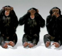 Inteligencia Emocional: El feedback