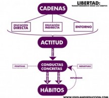 Libertad: Transformarnos desde los hábitos (IV) Ejemplos y resumen
