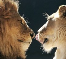 Consejos para reavivar la llama con tu pareja